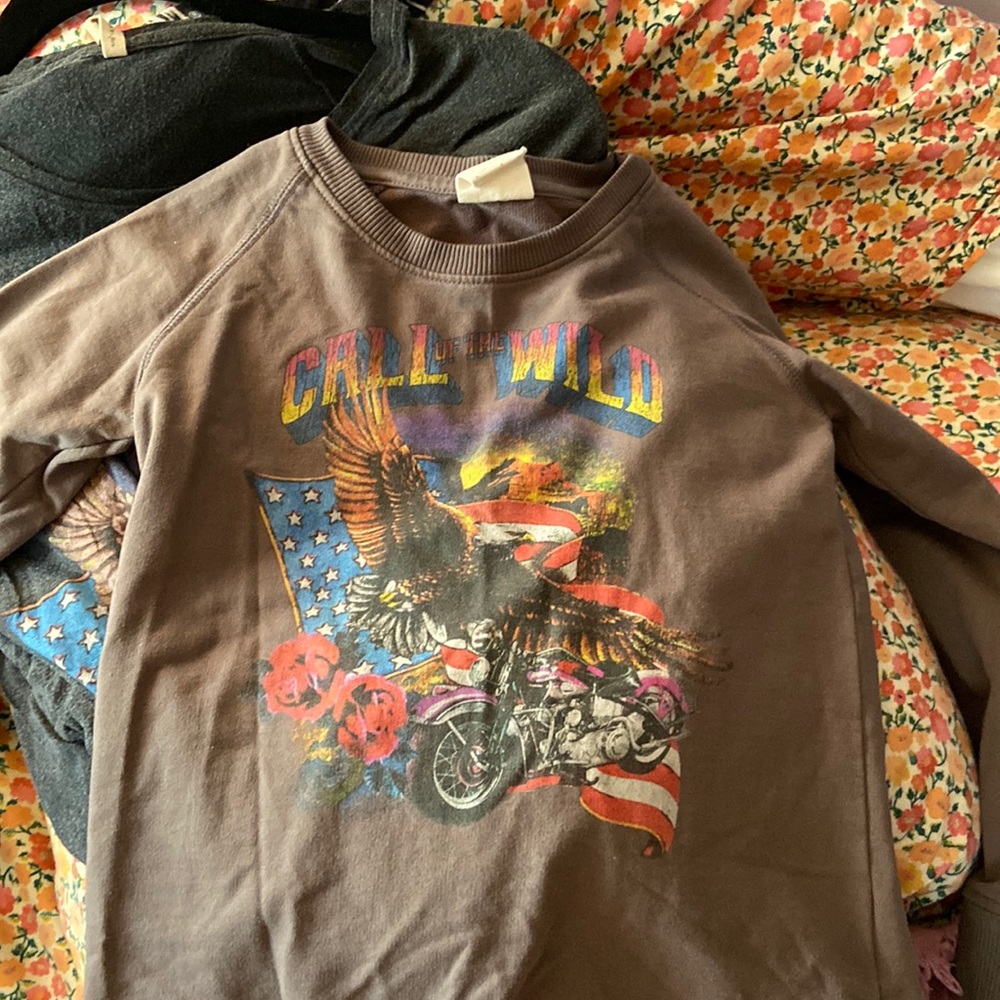 Little Gypsy call of wild 6years